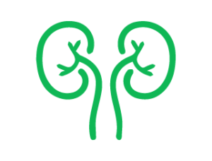 Urology